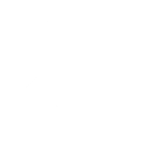 Skipper
