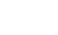 Level Override